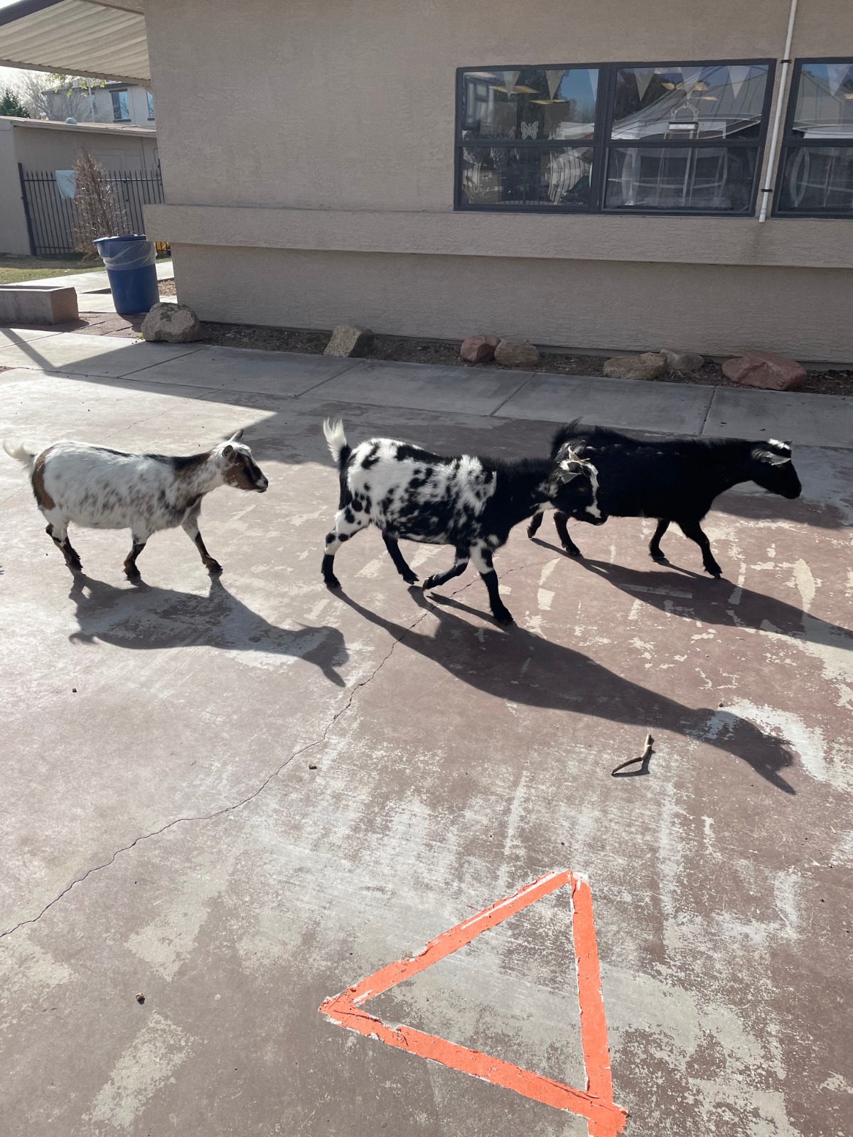 9b2a7f36 2e11 41c3 8a79 782c603bd3d1