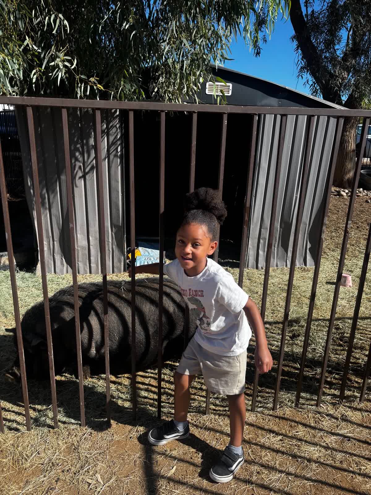 WhatsApp Image 2025 12 11 at 113254 AM